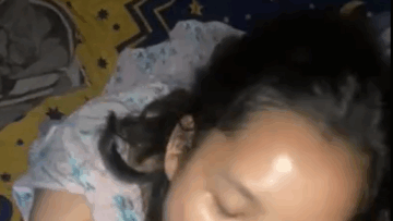 Jatah Sampai Crots Pembantu Baru